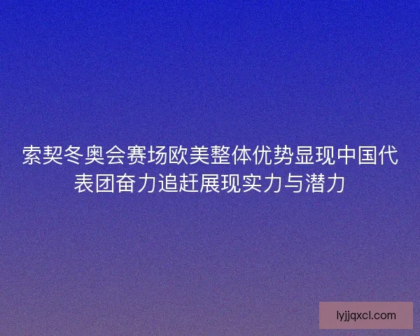 索契冬奥会赛场欧美整体优势显现中国代表团奋力追赶展现实力与潜力